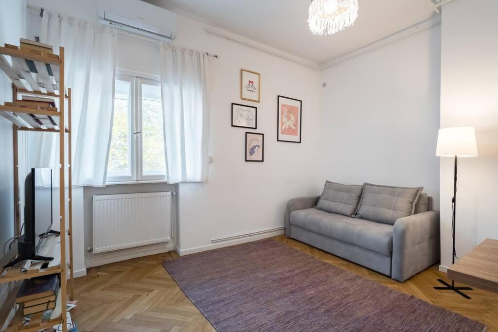 Downtown Cozy Apartment Old Town ブカレスト エクステリア 写真